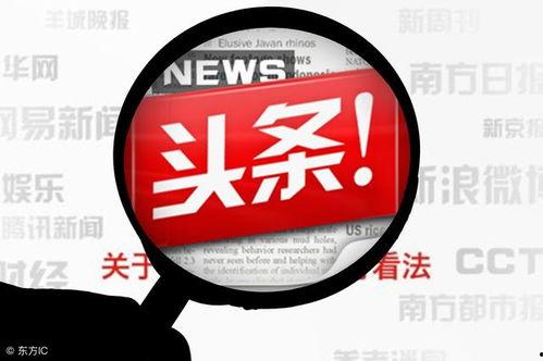 我的头条创作世界视频,揭秘短视频制作背后的奥秘